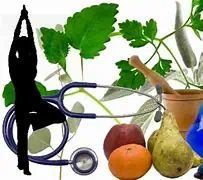 Bioscience laboratory equipment with plants, fruits, and scientific instruments for biotechnological research and plant growth analysis.